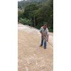 barahona2